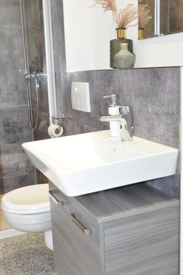 N37 -Modern Eingerichtete Zimmer In Ruhiger Lage Aldingen  المظهر الخارجي الصورة